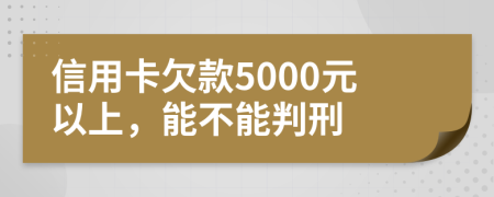 信用卡欠款5000元以上，能不能判刑