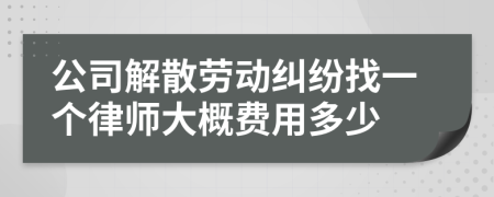 公司解散劳动纠纷找一个律师大概费用多少