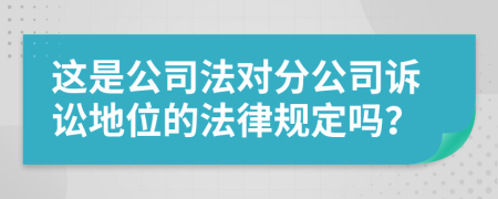 这是公司法对分公司诉讼地位的法律规定吗？