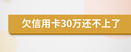 欠信用卡30万还不上了