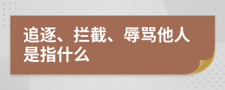 追逐、拦截、辱骂他人是指什么