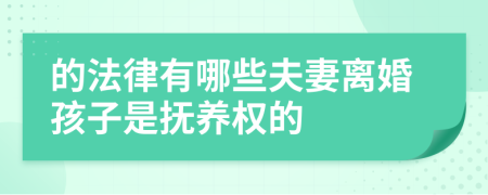 的法律有哪些夫妻离婚孩子是抚养权的