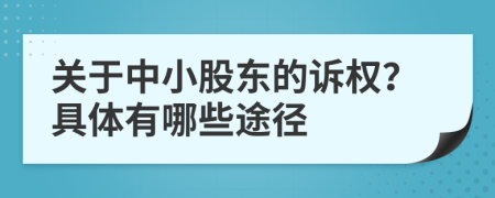 关于中小股东的诉权？具体有哪些途径