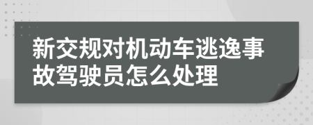 新交规对机动车逃逸事故驾驶员怎么处理