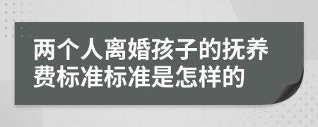 两个人离婚孩子的抚养费标准标准是怎样的