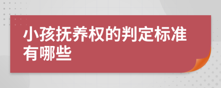 小孩抚养权的判定标准有哪些