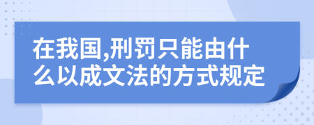 在我国,刑罚只能由什么以成文法的方式规定