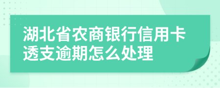 湖北省农商银行信用卡透支逾期怎么处理