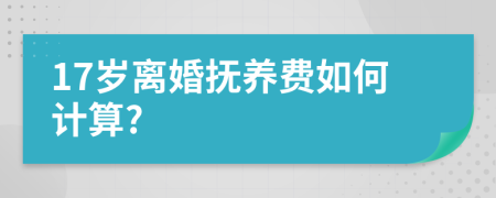 17岁离婚抚养费如何计算?