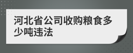 河北省公司收购粮食多少吨违法