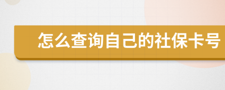 怎么查询自己的社保卡号