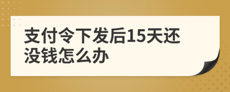 支付令下发后15天还没钱怎么办