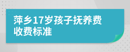 萍乡17岁孩子抚养费收费标准