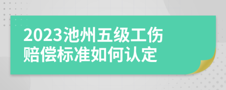 2023池州五级工伤赔偿标准如何认定