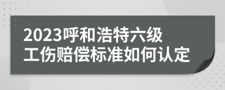 2023呼和浩特六级工伤赔偿标准如何认定