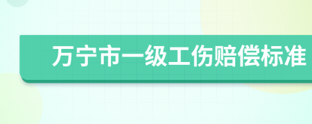 万宁市一级工伤赔偿标准