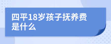 四平18岁孩子抚养费是什么