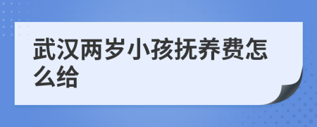 武汉两岁小孩抚养费怎么给