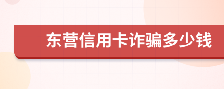 东营信用卡诈骗多少钱