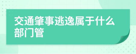 交通肇事逃逸属于什么部门管