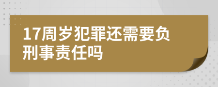 17周岁犯罪还需要负刑事责任吗