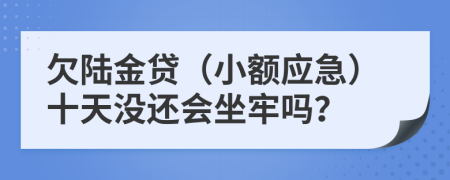 欠陆金贷（小额应急）十天没还会坐牢吗？