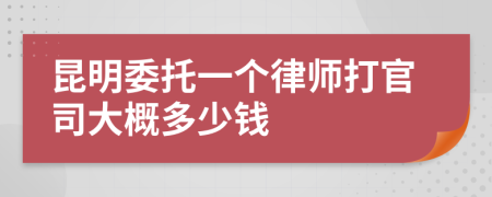 昆明委托一个律师打官司大概多少钱