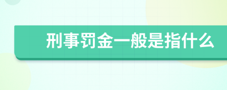 刑事罚金一般是指什么