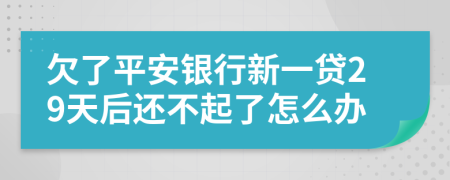 欠了平安银行新一贷29天后还不起了怎么办