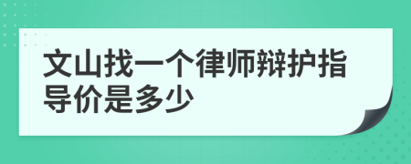 文山找一个律师辩护指导价是多少