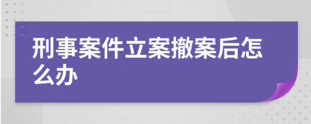 刑事案件立案撤案后怎么办