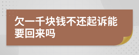 欠一千块钱不还起诉能要回来吗