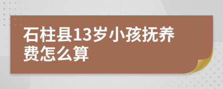 石柱县13岁小孩抚养费怎么算