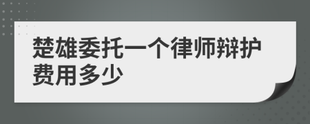 楚雄委托一个律师辩护费用多少