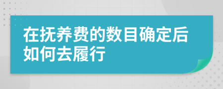 在抚养费的数目确定后如何去履行