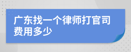 广东找一个律师打官司费用多少