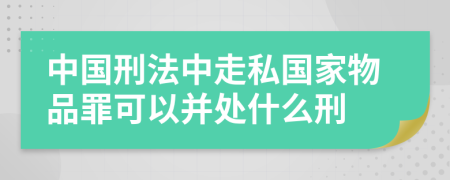 中国刑法中走私国家物品罪可以并处什么刑