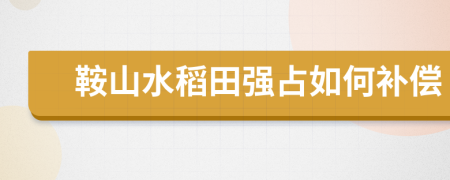 鞍山水稻田强占如何补偿