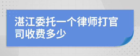 湛江委托一个律师打官司收费多少