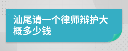 汕尾请一个律师辩护大概多少钱