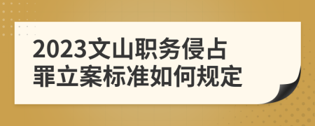 2023文山职务侵占罪立案标准如何规定