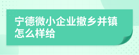 宁德微小企业撤乡并镇怎么样给