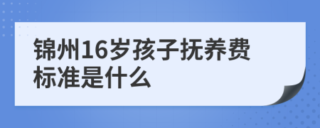 锦州16岁孩子抚养费标准是什么