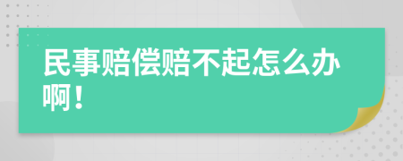 民事赔偿赔不起怎么办啊！
