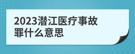 2023潜江医疗事故罪什么意思