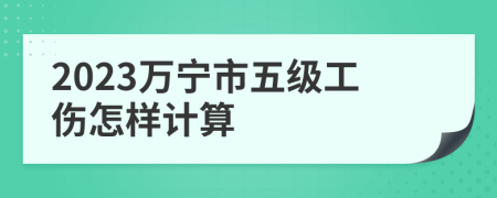 2023万宁市五级工伤怎样计算