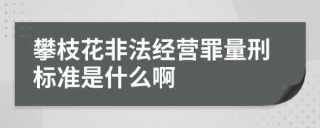 攀枝花非法经营罪量刑标准是什么啊