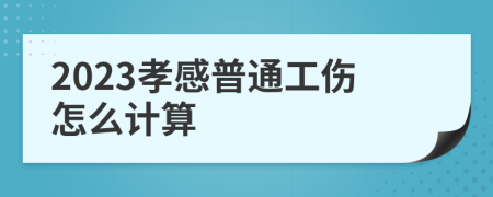 2023孝感普通工伤怎么计算