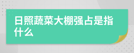 日照蔬菜大棚强占是指什么
