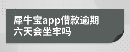 犀牛宝app借款逾期六天会坐牢吗